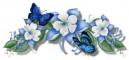 ButterflyFlowers