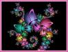 COLORFUL BACK GROUND
