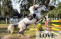 Riding - Horse Sanctuary