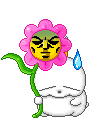 cute kawaii mashimaro