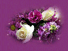 White Roses with Purple Flowers