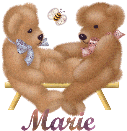 Bears on Bench with Name