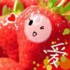 Strawberry ~
