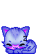 purple kitty