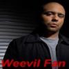 Veronica Mars ----- Weevil Fan Avi 3