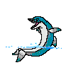 Dolphin Clapping