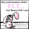 bunnies can't fly