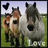 pony love