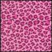 Pink Leopard Background x
