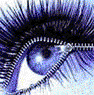 Purple Zipper Eye