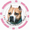 American Staffordshire terrier Pink Poker Chip