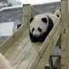 cute kawaii panda silde lol