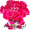 Happy Anniversary  (Dozen pink roses)