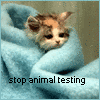 stop animal testing :[