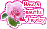 Have a Beautiful Wednesday
