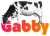 gabby cow