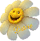 Happy day sunflower ~ Denise