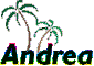 Andrea (Palm Trees)