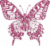pink sparkle butterfly