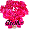 Aletha (Roses)