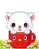 kitty in a red cup