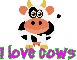 I Love Cows