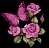Butterfly and Roses