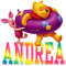 Winnie the Pooh - Andrea