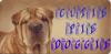 Sharpei Dog (brown)~ Cutie Pie Doggie