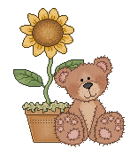 Sunflower Bear