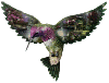 colibrÃ­ 1