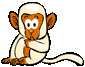 monkey sucking thumb
