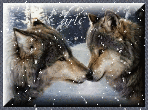 two wolves