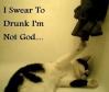 Drunk cat O_O