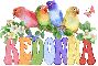 Colorfulbirds~ReDonna