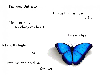 i'm your butterfly