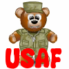 Military Soldier Teddy Bear- USAF