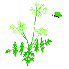 green-flowers