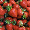 Yummie Strawberries