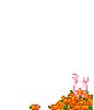 Bunny in Carrots