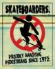 skateboarding tag