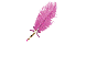 Brandy - Feather Pen Dark Pink