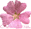 Aletha Flower