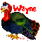 Thanksgiving Talking Turkey (animated)- Wayne