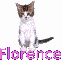 Cat-Florence