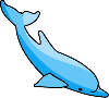 Baby Dolphin