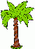 Tropical Tree