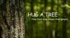 hug a tree