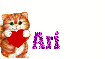 Ari-cat