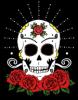 skull roses